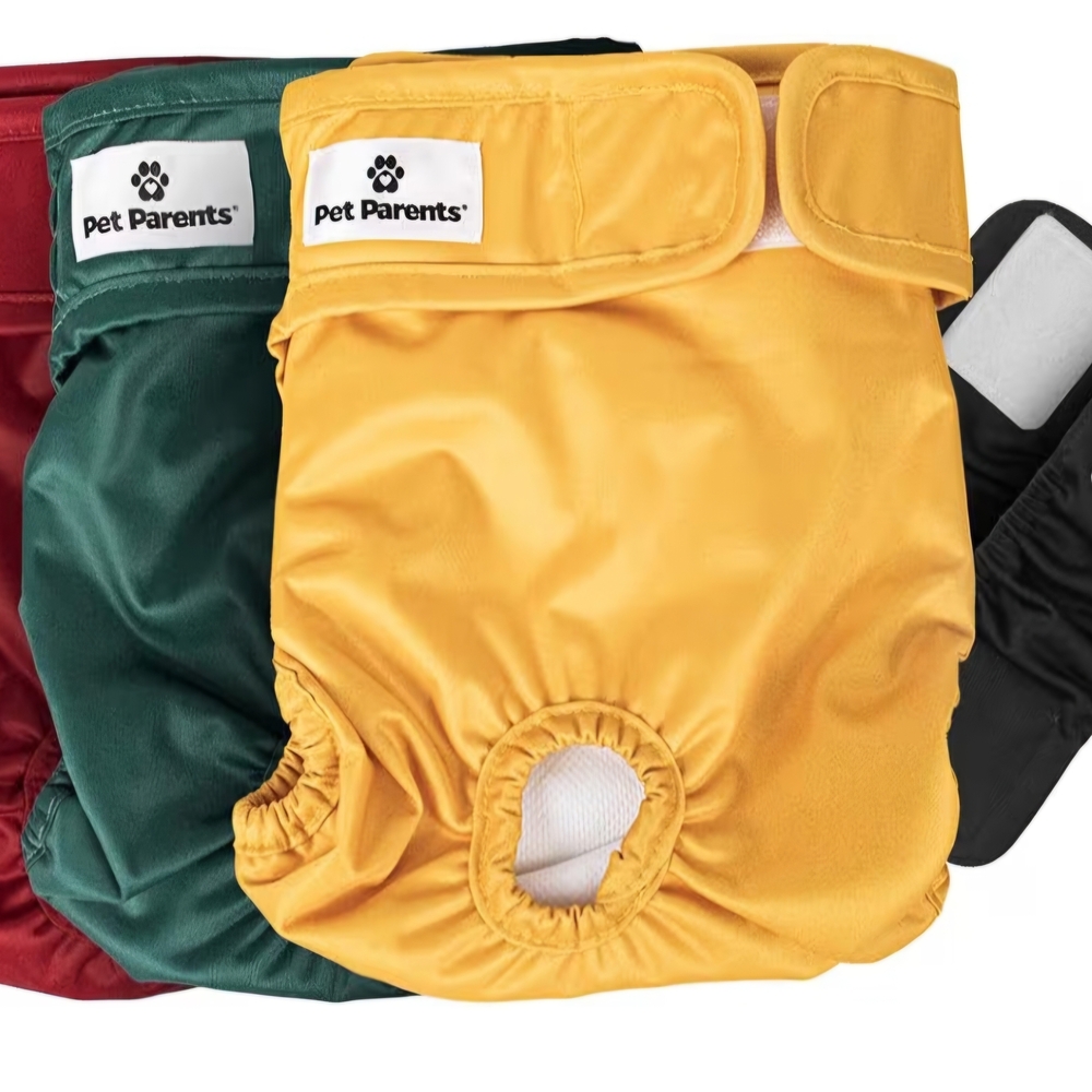 Pet Parents Dog Diapers Set - Red, Green, Yellow, Black